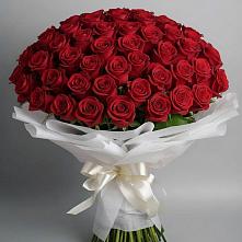 Букет 101 Красная роза Блэк Мэджик в Енотаевке