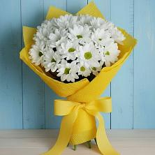 Букет цветов из:  Хризантемы в Енотаевке