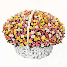 Премиум букет из: Розы в Енотаевке