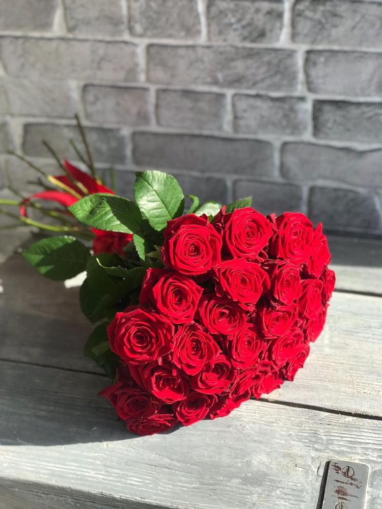 Букет Красные розы Фридом в Енотаевке