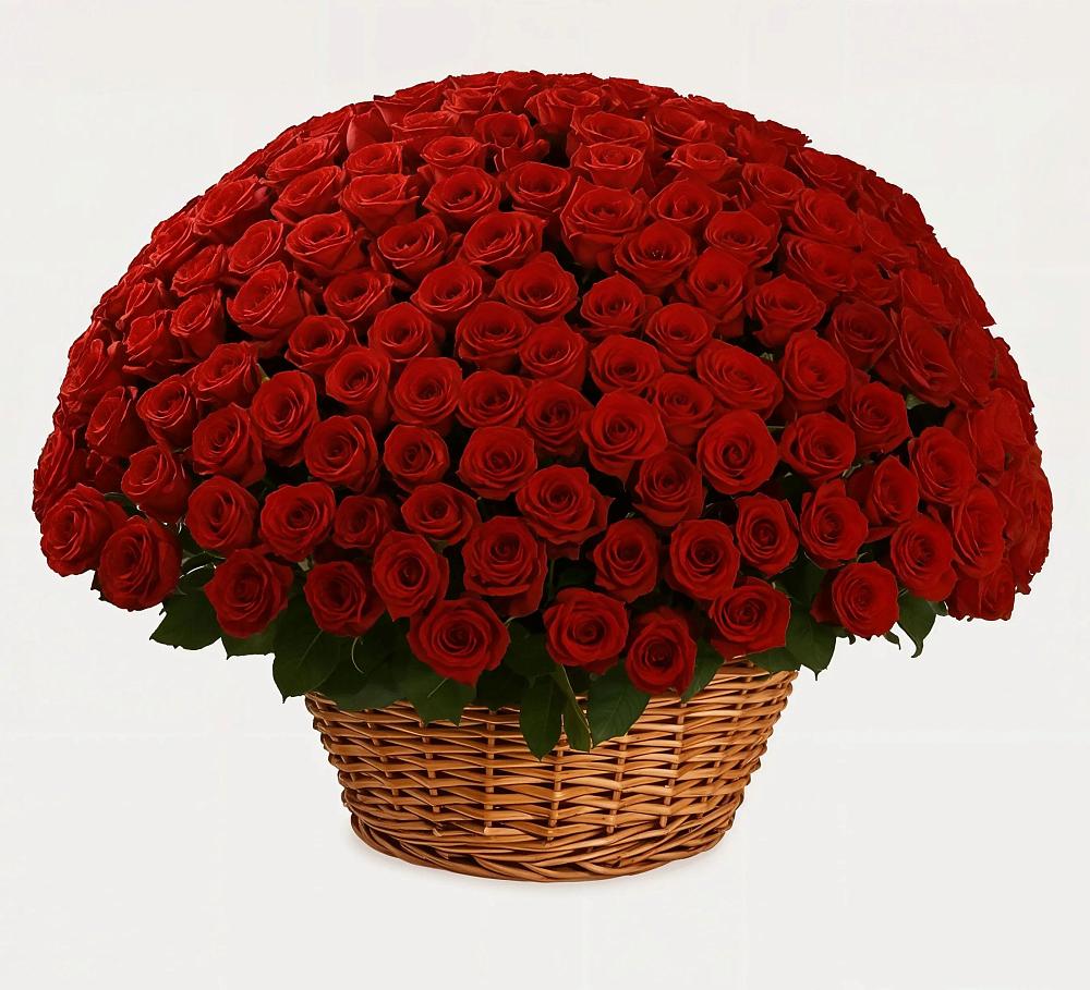 Премиум букет из: Розы в Енотаевке