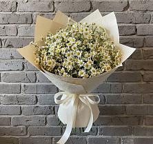 Букет цветов из:  Ромашки в Енотаевке