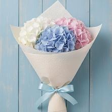 Букет цветов из:  Гортензия в Енотаевке