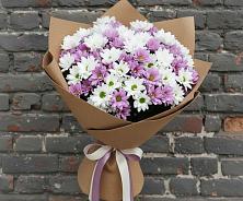 Букет цветов из:  Хризантемы в Енотаевке