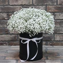 Цветочная композиция из Гипсофила в шляпной коробке в Енотаевке