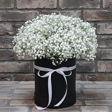 Цветочная композиция из Гипсофила в шляпной коробке в Енотаевке
