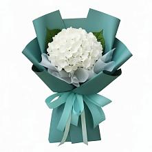 Букет цветов из:  Гортензия #REPLACE_PRED# Енотаевке